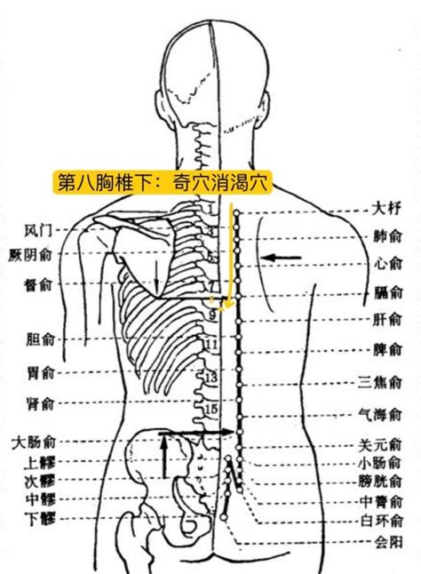 消積穴|倪海厦：判断肿瘤的奇穴——消积穴